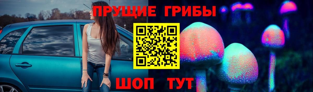 Галлюциногенные грибы Psilocybine cubensis Артёмовский
